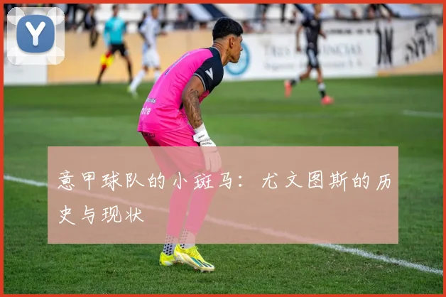 意甲球队的小斑马：尤文图斯的历史与现状