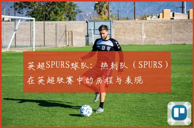 英超SPURS球队：热刺队（SPURS）在英超联赛中的历程与表现