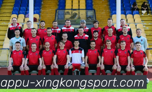 星空体育平台生态图