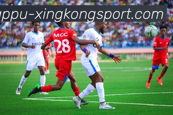 星空体育APP 封面图